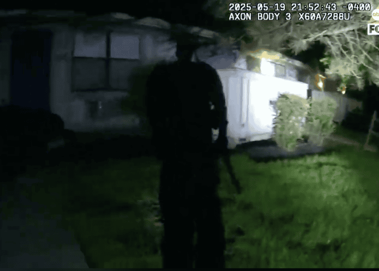 Silhouette of a person holding an object that resembles a firearm.
